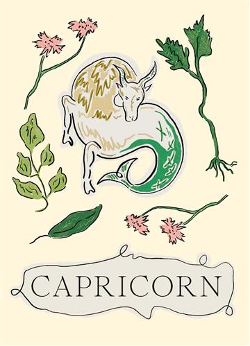 Knjiga Capricorn (Planet Zodiac) autora Liberty Phi izdana 2023 kao tvrdi uvez dostupna u Knjižari Znanje.