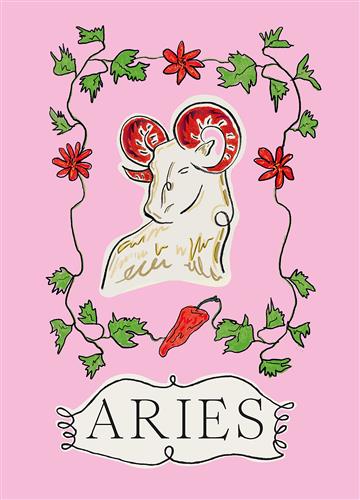 Knjiga Aries (Planet Zodiac) autora Liberty Phi izdana 2023 kao tvrdi uvez dostupna u Knjižari Znanje.