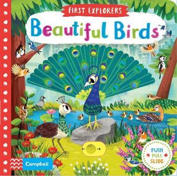 Knjiga First Explorers: Beautiful Birds autora Campbell Books izdana 2019 kao tvrdi uvez dostupna u Knjižari Znanje.