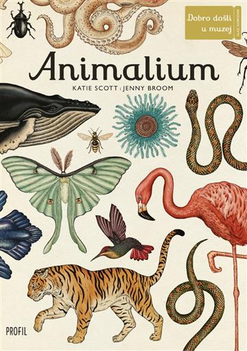 Knjiga Animalium autora Jenny Broom izdana 2023 kao tvrdi uvez dostupna u Knjižari Znanje.