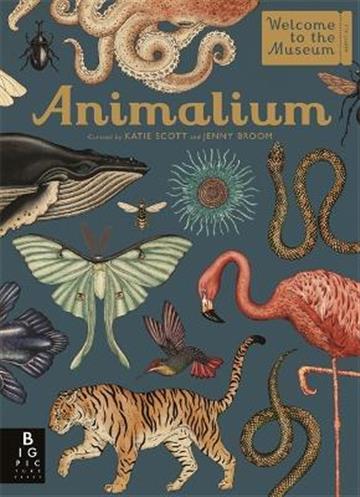 Knjiga Animalium autora Jenny Broom izdana 2018 kao tvrdi uvez dostupna u Knjižari Znanje.
