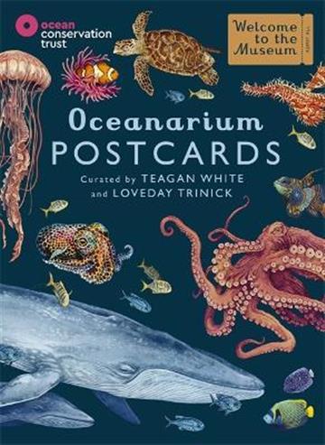 Knjiga Oceanarium Postcards autora Teagan White izdana 2022 kao  dostupna u Knjižari Znanje.
