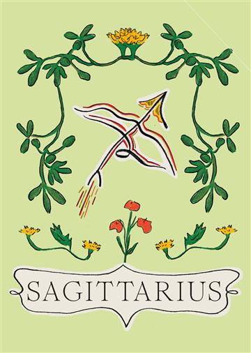 Knjiga Sagittarius (Planet Zodiac) autora Liberty Phi izdana 2023 kao tvrdi uvez dostupna u Knjižari Znanje.