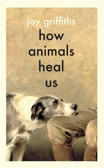Knjiga How Animals Heal Us autora Jay Griffiths izdana 2025 kao tvrdi uvez dostupna u Knjižari Znanje.