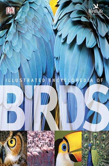 Knjiga The Illustrated Encyclopedia of Birds autora Grupa autora izdana 2011 kao tvrdi uvez dostupna u Knjižari Znanje.