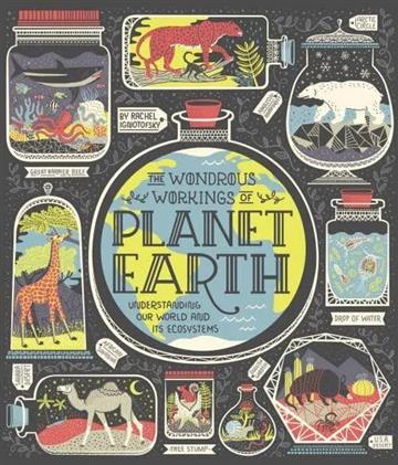 Knjiga Wondrous Workings Of Planet Earth autora Rachel Ignotofsky izdana 2018 kao tvrdi uvez dostupna u Knjižari Znanje.