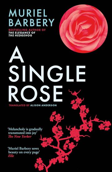 Knjiga Single Rose autora Muriel Barbery izdana 2023 kao meki uvez dostupna u Knjižari Znanje.