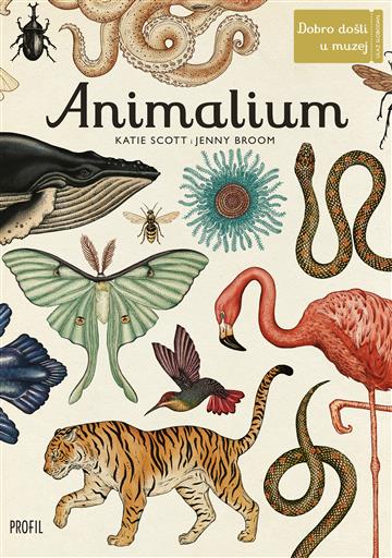 Knjiga Animalium autora Jenny Broom izdana 2021 kao tvrdi uvez dostupna u Knjižari Znanje.