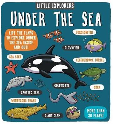 Knjiga Little Explorers: Under the Sea autora  izdana 2018 kao tvrdi uvez dostupna u Knjižari Znanje.