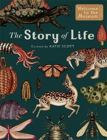 Knjiga Story of Life autora Ruth Symons izdana 2017 kao tvrdi uvez dostupna u Knjižari Znanje.