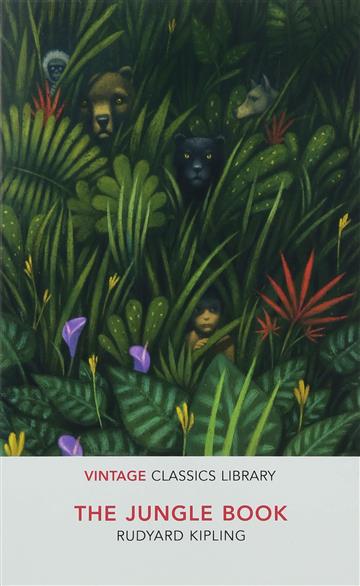 Knjiga Jungle Book autora Rudyard Kipling izdana 2018 kao meki uvez dostupna u Knjižari Znanje.