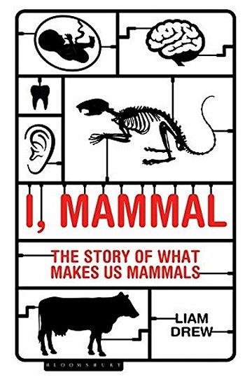 Knjiga I, Mammal: The Story of What Makes Us Mammals autora Liam Drew izdana 2017 kao meki uvez dostupna u Knjižari Znanje.