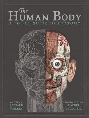 Knjiga Human Body: Pop-Up Guide to Anatomy autora Richard Walker izdana 2018 kao tvrdi uvez dostupna u Knjižari Znanje.