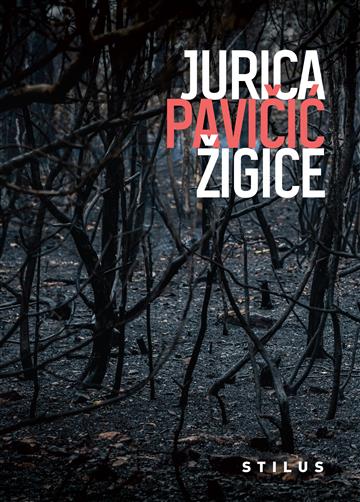 Knjiga Žigice autora Jurica Pavičić izdana 2024 kao meki uvez dostupna u Knjižari Znanje.