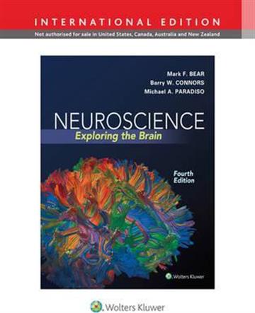 Knjiga Neuroscience: Exploring The Brain 4E autora Grupa autora izdana 2013 kao tvrdi uvez dostupna u Knjižari Znanje.