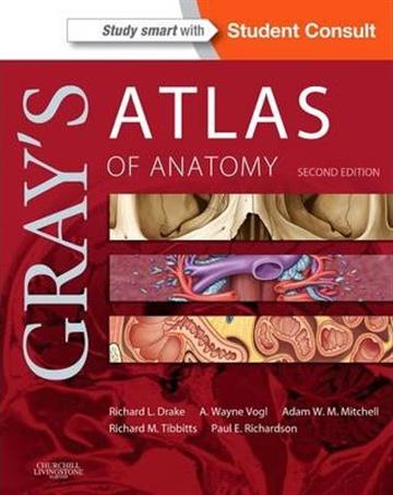 Knjiga Gray's Atlas of Anatomy 2E autora Grupa autora izdana 2014 kao meki uvez dostupna u Knjižari Znanje.