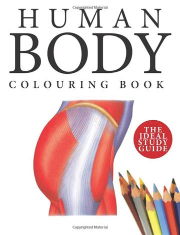 Knjiga Human Body Colouring Book autora  izdana 2023 kao meki uvez dostupna u Knjižari Znanje.