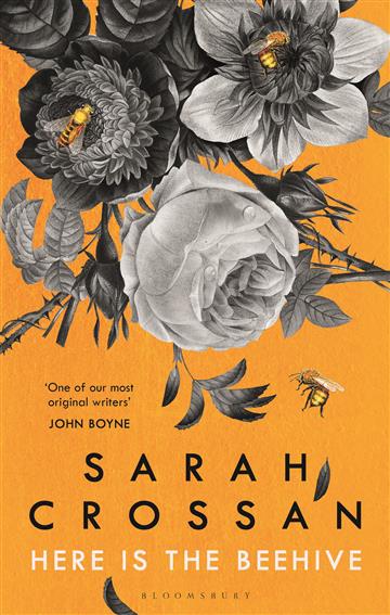 Knjiga Here Is the Beehive autora Sarah Crossan izdana 2020 kao tvrdi uvez dostupna u Knjižari Znanje.