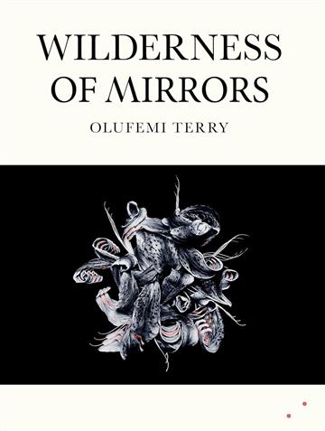 Knjiga Wilderness of Mirrors autora Olufemi Terry izdana 2026 kao meki uvez dostupna u Knjižari Znanje.