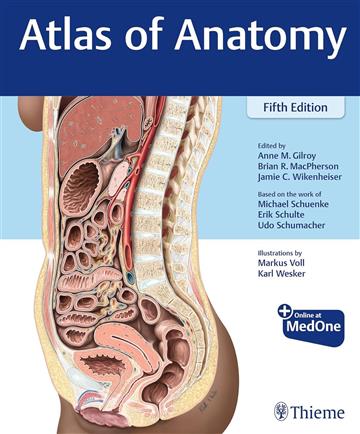 Knjiga Atlas of Anatomy 4E, English Nomenclature autora Anne M. Gilroy izdana 2025 kao tvrdi uvez dostupna u Knjižari Znanje.