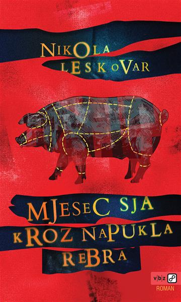 Knjiga Mjesec sja kroz napukla rebra autora Nikola Leskovar izdana 2024 kao tvrdi dostupna u Knjižari Znanje.