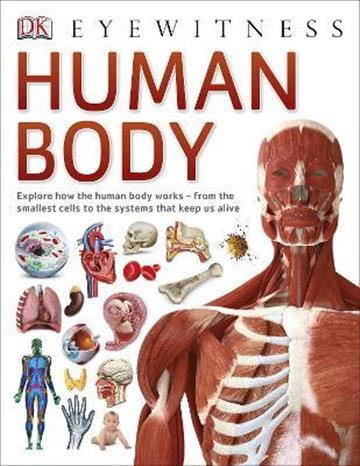 Knjiga Human Body autora DK izdana 2015 kao meki uvez dostupna u Knjižari Znanje.
