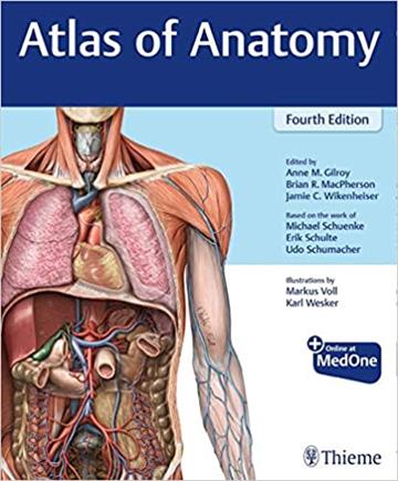 Knjiga Atlas of Anatomy Fourth Edition autora Anne M. Gilroy izdana 2020 kao meki uvez dostupna u Knjižari Znanje.