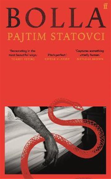 Knjiga Bolla autora Pajtim Statovci izdana 2022 kao tvrdi uvez dostupna u Knjižari Znanje.
