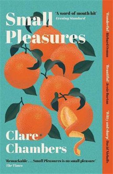Knjiga Small Pleasures autora Clare Chambers izdana 2021 kao meki uvez dostupna u Knjižari Znanje.