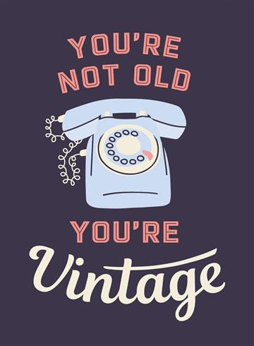 Knjiga You're Not Old, You're Vintage autora Summersdale Publishers izdana 2024 kao tvrdi uvez dostupna u Knjižari Znanje.