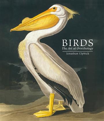 Knjiga Birds: Art of Ornithology, Pocket Ed. autora Jonathan Elphick izdana 2023 kao tvrdi uvez dostupna u Knjižari Znanje.