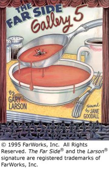 Knjiga Far Side Gallery 5 autora Gary Larson izdana 1995 kao meki uvez dostupna u Knjižari Znanje.
