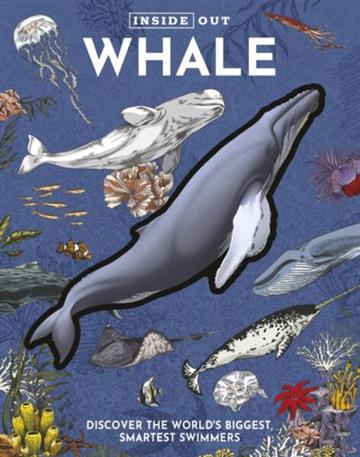 Knjiga Inside Out Whale autora Chartwell Books izdana 2026 kao tvrdi uvez dostupna u Knjižari Znanje.