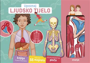 Knjiga Upoznaj ljudsko tijelo autora  izdana 2026 kao tvrdi uvez dostupna u Knjižari Znanje.
