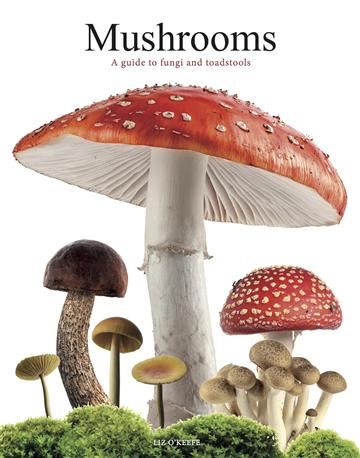 Knjiga Mushrooms autora Liz O'Keefe izdana 2024 kao meki uvez dostupna u Knjižari Znanje.