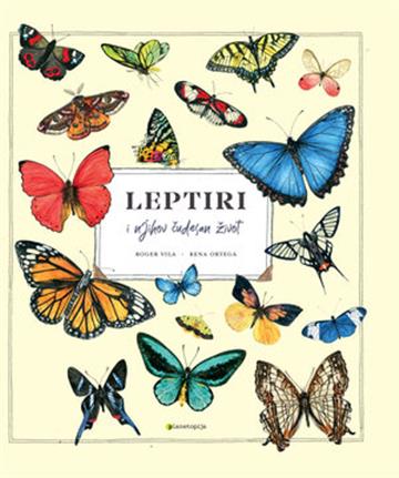 Knjiga Leptiri i njihov čudesan život autora Roger Vila, Rena Ortega izdana 2023 kao tvrdi uvez dostupna u Knjižari Znanje.